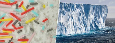 Los insectos de la Antártida llevaban miles de años viviendo tranquilamente. Hasta que llegaron los microplásticos