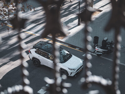 ¿Qué han hecho bien los híbridos asiáticos para alcanzar el éxito en consumos? 