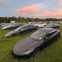 La caída de ventas de Tesla en una imagen: se apelotonan en descampados mientras "se los traga" la maleza