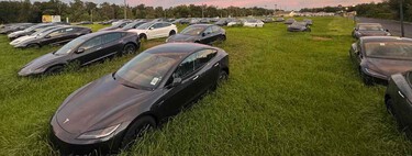 La caída de ventas de Tesla en una imagen: se apelotonan en descampados mientras "se los traga" la maleza