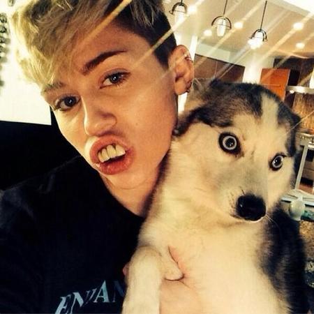 Miley Cyrus lleva la muerte de su perro a otro nivel... ¡Quiere hablar con él!