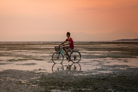 Ciclistas con permiso de conducir por puntos y seguro obligatorio, a examen. ¿Por qué sí y por qué no?