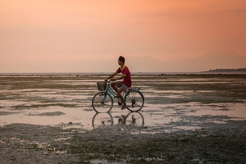 Ciclistas con permiso de conducir por puntos y seguro obligatorio, a examen. ¿Por qué sí y por qué no?