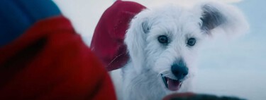 Krypto ha conquistado tanto en 'Superman' que ha conseguido su propio récord: los americanos queriendo adoptar en masa