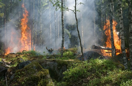 Nueva herramienta para prevenir incendios: un fluido semejante a un gel