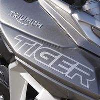 ¡Cazada! Triumph trabaja en una Tiger 800 que podría llegar en 2020 con más potencia y mayor cilindrada