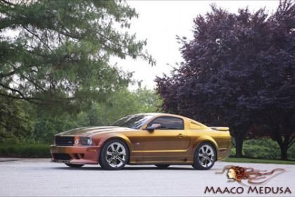 Maaco Medusa Mustang