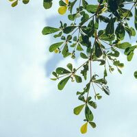 Siete camisas blancas eco-friendly de Cortefiel (perfectas para el buen tiempo) ahora rebajadas