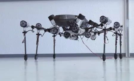 Si has de temer a los robots, empieza por este insecto gigante