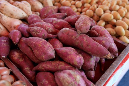 Ya está la Romería de Calabaza y Camote en la CEDA: visita la zona de Piedra para encontrar los mejores precios