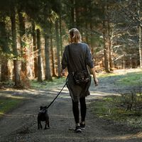 El debate sobre si es mejor caminar rápido o caminar lento esta zanjado. Al menos si lo que buscamos es nuestra salud