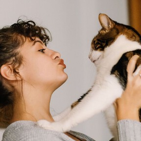 Manuel Manzano, veterinario: "A diferencia del perro, el gato nos considera como un igual, no tiene esa relación de sumisión. Nos ve como un gato grande, no como un ser inferior o superior"