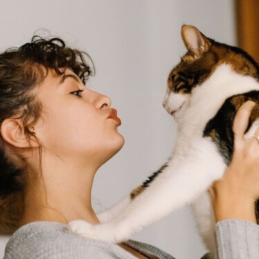 Manuel Manzano, veterinario: "La persona favorita de los gatos es siempre la que se muestra un poco más distante"