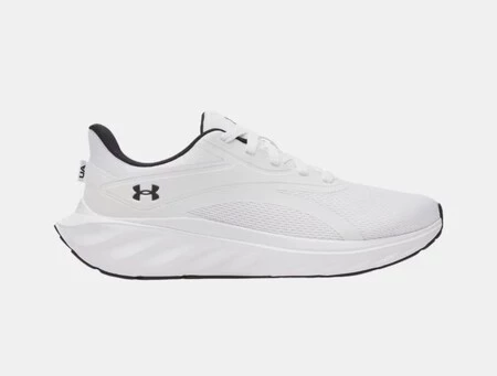 Zapatillas