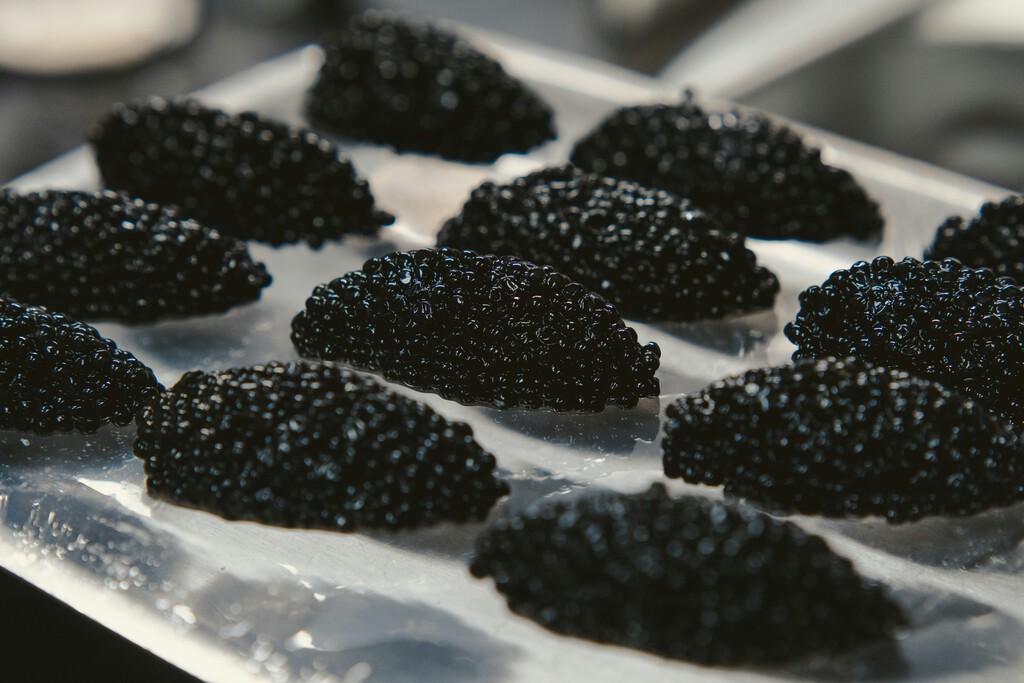 "¿Qué sentido tiene barato?": los precios del caviar se están desplomando y la industria ha entrado en crisis existencial