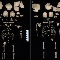 Hace 1.200 alguien decidió proteger a dos bebés gemelos escondiéndolos en un sitio inverosímil: unas letrinas al lado del Templo de Artemisa 