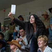 Netflix acaba de sufrir uno de los mayores fracasos de su historia: de poco sirve tener una serie con puntuación casi perfecta si nadie la ve