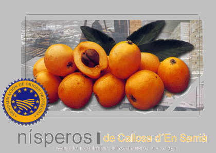 Los nísperos y sus variedades