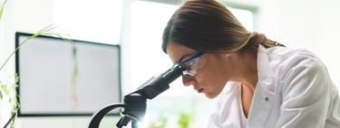Leucemia infantil: un nuevo estudio apunta a que en el futuro podría prevenirse