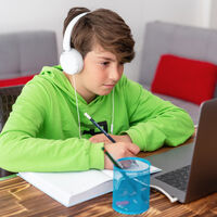 Se acercan los exámenes: cinco beneficios de que los alumnos estudien con un profesor online