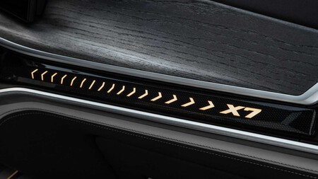 Bmw X7 2023 9