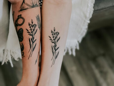 Randi Wilson 6t6dgjxpks0 Unsplash