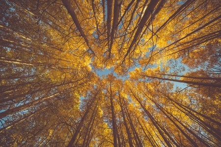 15 consejos para mejorar las fotografías de paisajes otoñales