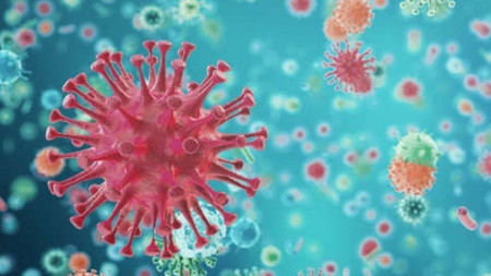 Los niños parecen menos susceptibles a ser contagiados por el coronavirus y no sabemos la razón