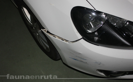 Paragolpes fuera de sitio