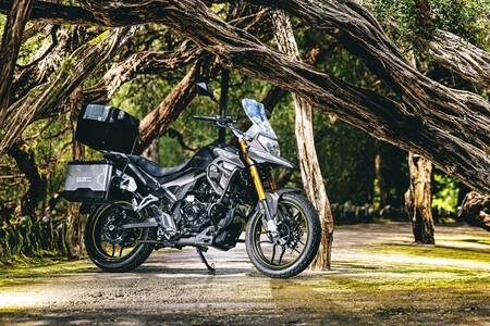 Cyclone Rx1 Pro 125 2025