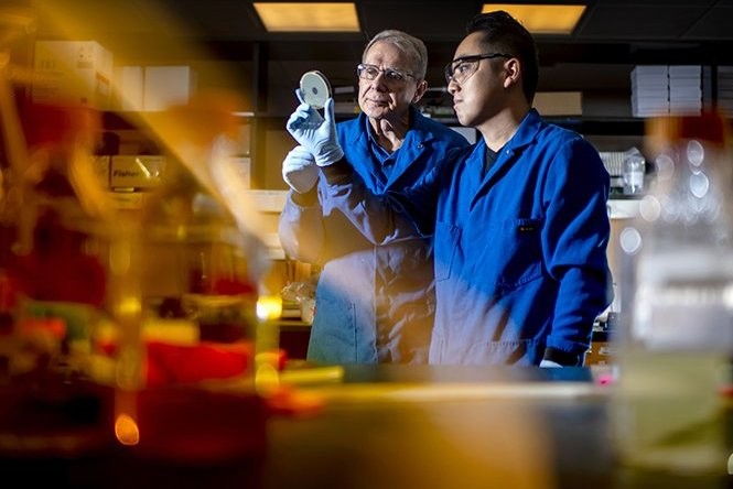 Tras décadas buscando, hemos encontrado un nuevo (y prometedor) antibiótico en el tracto digestivo de un gusano microscópico