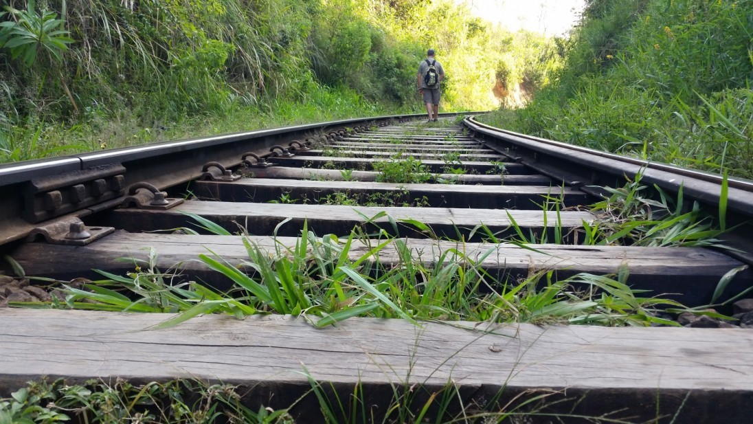 Compañeros de Ruta: de la India a pasando por la Toscana de Valencia 