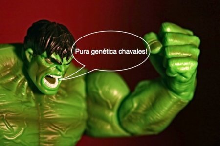 ¿Por qué hay gente que gana más masa muscular que otra?