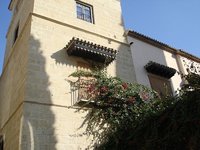Descubriendo Málaga: El Museo Picasso