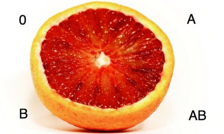 Dieta del grupo sanguíneo. Análisis de dietas milagro (V)