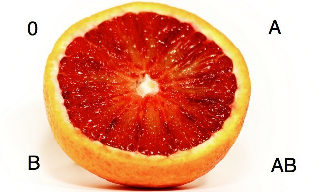 dieta-sangre