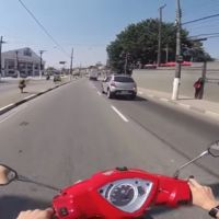 Pichón, mira por donde vas 