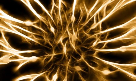 Arreglando un cerebro dañado con nanotubos de carbono