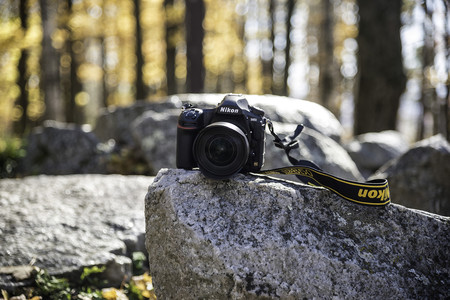 Nikon D850, Canon EOS M100, Panasonic Lumix GX800 y más cámaras, objetivos y accesorios en oferta: Llega Cazando Gangas