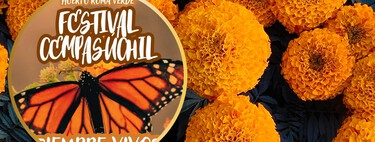 Huerto Roma Verde tendrá el Festival Cempasúchil con actividades gratuitas para conectar con la naturaleza del 23 al 25 de octubre 