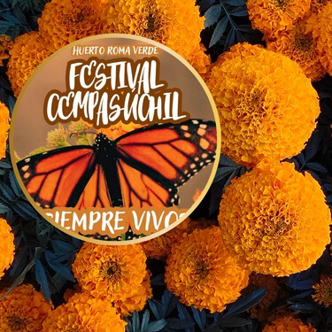 Huerto Roma Verde tendrá el Festival Cempasúchil con actividades gratuitas para conectar con la naturaleza del 23 al 25 de octubre 