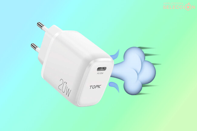 Topk 20w Cargador