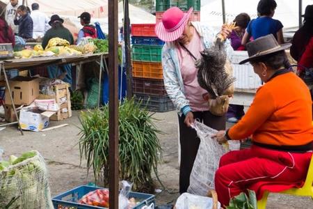 mercado-villa-leyva.jpg