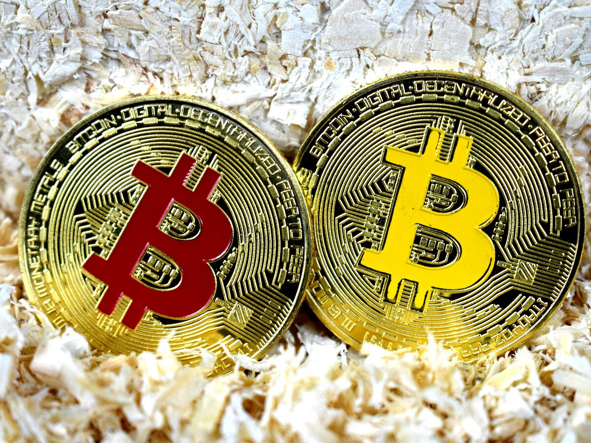 Bitcoin ha superado por primera vez los 100.000 dólares sin causar  sorpresa. Indica que va por el buen camino