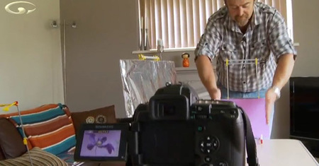 Cómo montarte un estudio casero para fotografía macro