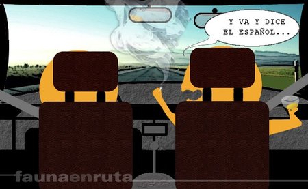 fauna en ruta: profe de autoescuela modelo pisapedales