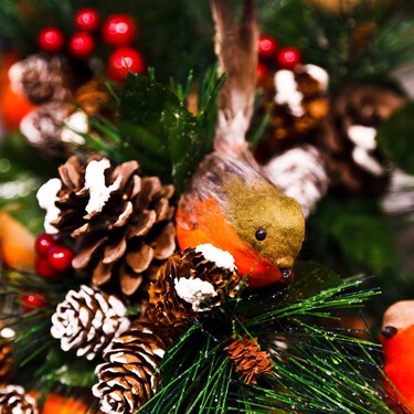 El árbol de Navidad es un paraíso para los loros, pero puede ser muy peligroso para ellos 