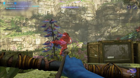 Duracion Avatar Recurso 3