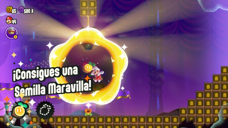 Semilla Maravilla