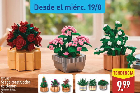 Set Construccion Aldi